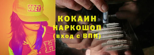 кокс Алексин