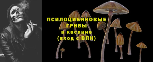 кокс Алексин