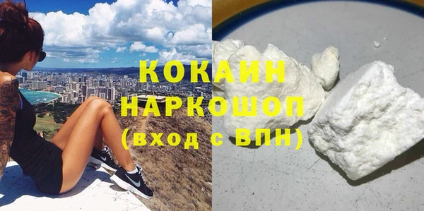 кокс Алексин